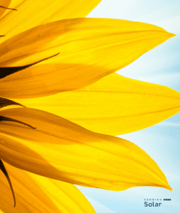 Sonnenblume Kärnten Solar bald Speicher nachrüsten