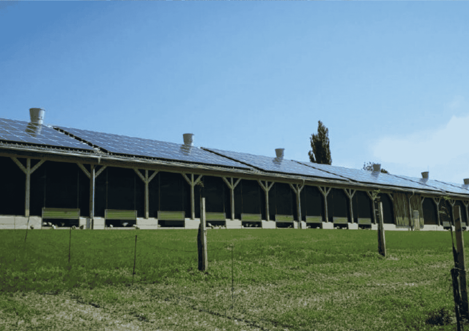 PV-Anlage auf einem Schrägdach der Landwirtschaft Raab